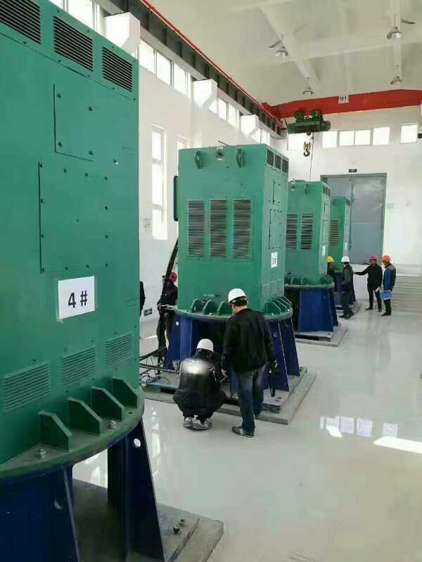 龙凤某污水处理厂使用我厂的立式高压电机安装现场报价